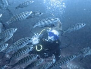 android engineering manager