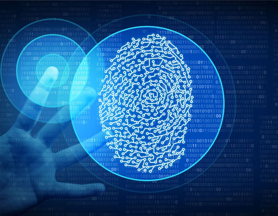 Diversity & Growth in Biometrics and Payments