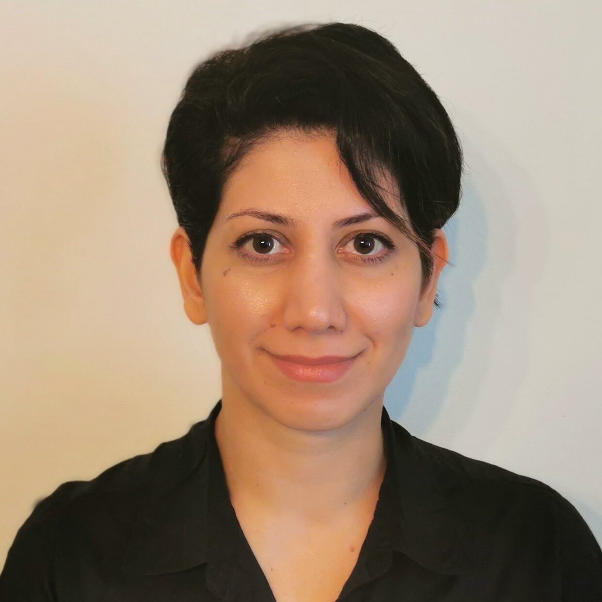 Dr Abedeh Gholidoust, Assistant Professor at University Canada West