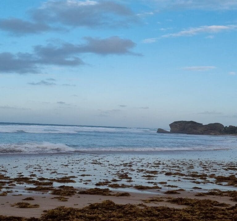 View of deserted beach