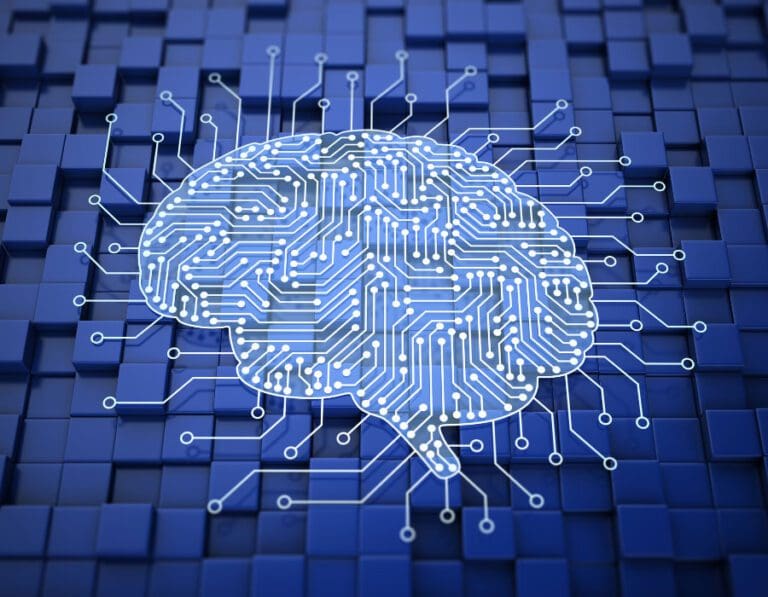 Brain as circuit diagram