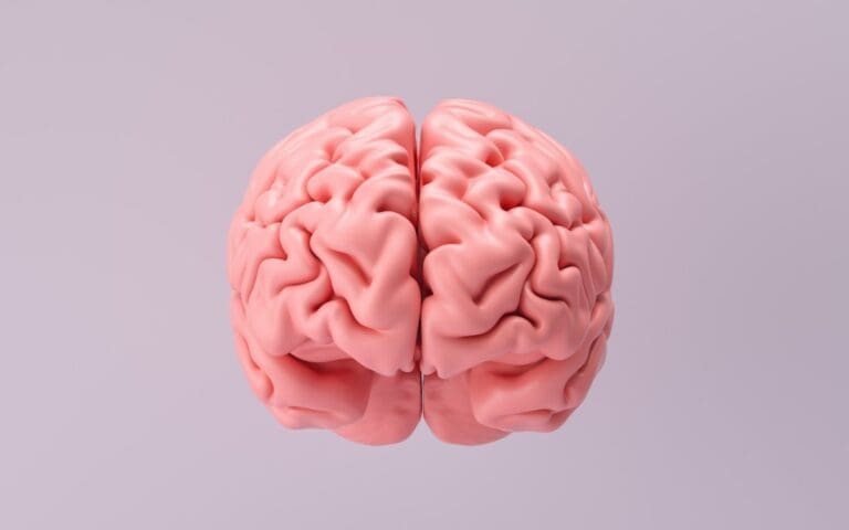 Anatomy of the brain, neurodiversity concept