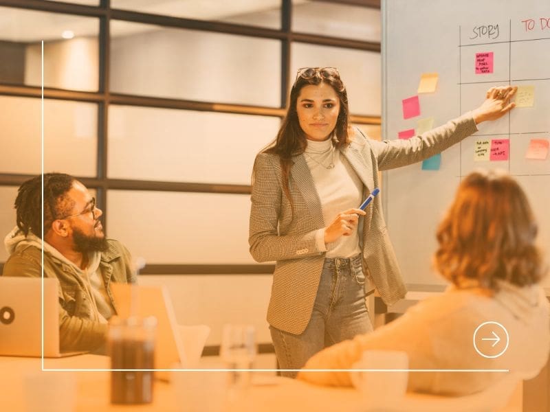 CV Series: What are the top skills to be a project manager